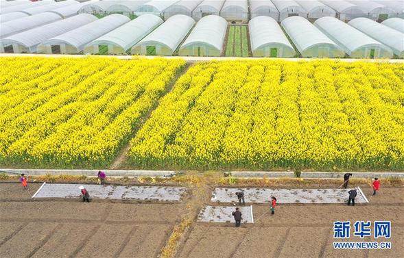 陽陽最新動態(tài)，聚焦2月26日新聞與事件，陽陽二日要聞回顧（附詳細事件編號）