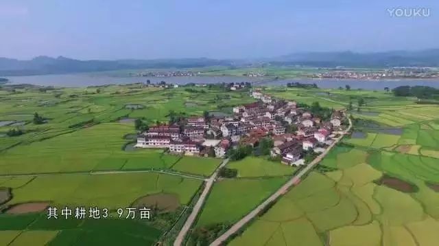 安陽水冶鎮(zhèn)改市最新消息深度報道，揭秘河南安陽水冶鎮(zhèn)的所屬縣及發(fā)展歷程