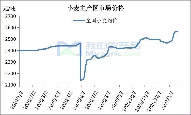 關(guān)于小麥價(jià)格的最新行情，以2月26日為例的行情分析（附小麥價(jià)格表）