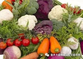 秋季蔬菜盛宴，豐富多樣且供應(yīng)充足的原因分析