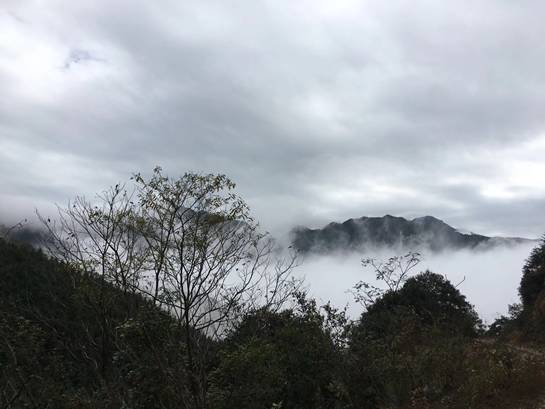 探索自然美景之旅，尋找內(nèi)心的平和與寧靜——Lu福利之旅的驚喜等待您！