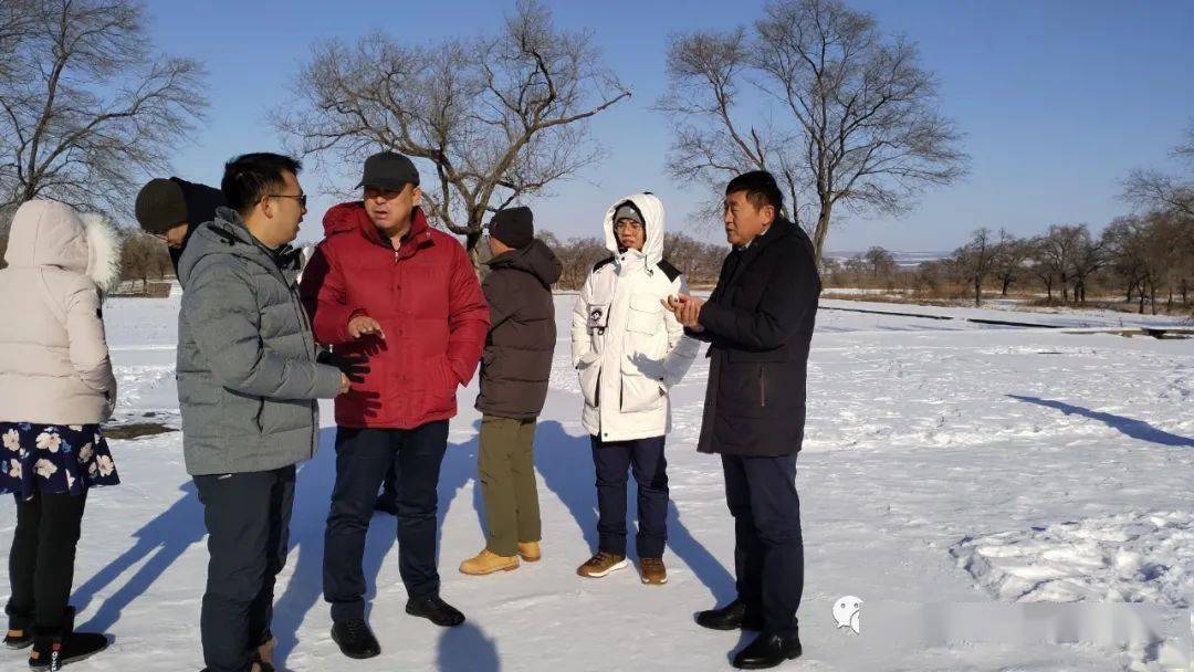 金鳳鎮(zhèn)規(guī)劃最新動態(tài)深度解析，各方觀點與個人立場探討，最新消息新聞發(fā)布