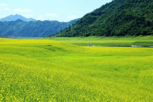 嘉澤新能引領(lǐng)綠色之旅，探尋自然美景，心靈之旅啟程，最新投資動(dòng)態(tài)揭曉！