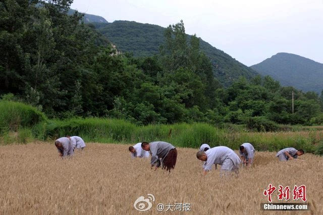 種麥啟程，探尋變化之力與人生豐收季的收獲之道