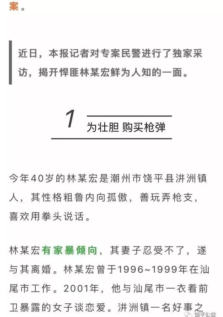 饒平槍擊案最新進展解析，案件全貌揭秘與應對方式探討（最新情況更新）