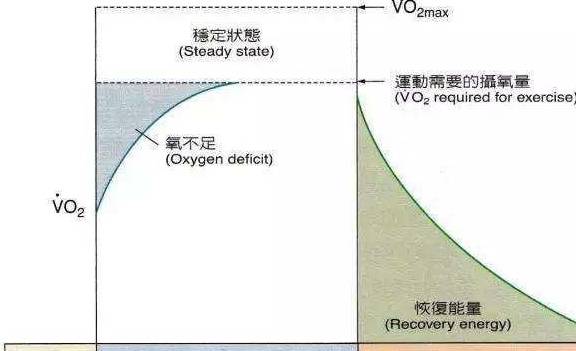 最新生理周期解析，洞悉健康奧秘，掌握生理日歷的規(guī)律