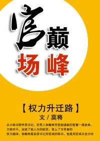 躍升巔峰之路，權(quán)謀升遷有道啟示錄與全文目錄解析