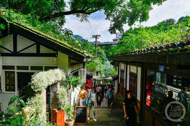 合肥小巷深處的幼教新星，隱藏版幼兒園探秘與新增園所揭秘