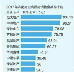 濟(jì)南最新購房政策深度解析，特性、體驗(yàn)、競(jìng)品對(duì)比與用戶洞察解讀報(bào)告（全面解讀濟(jì)南購房政策）