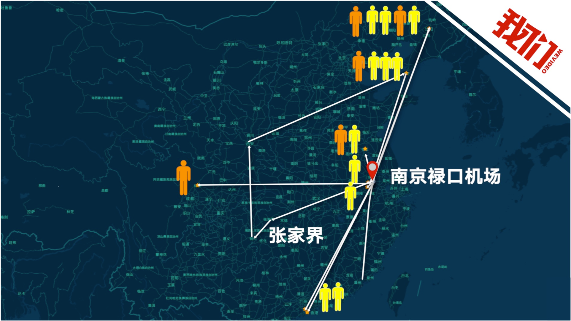 全面評測與深度解析，11月4日疫情最新軌跡