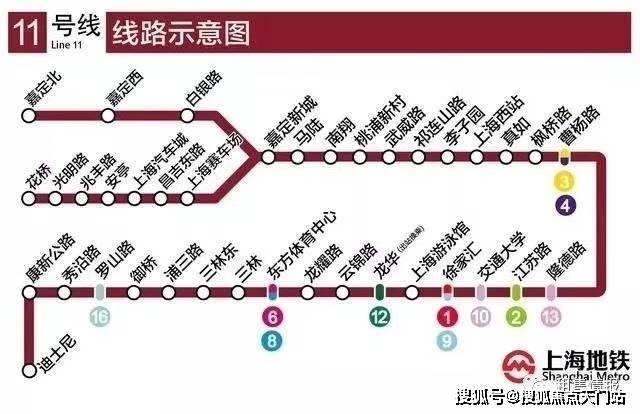 11月4日我要這樣生活最新，全面評(píng)測(cè)與介紹