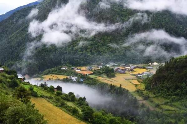 抗州殺妻案背后，探尋自然美景的心靈之旅與寧?kù)o時(shí)刻