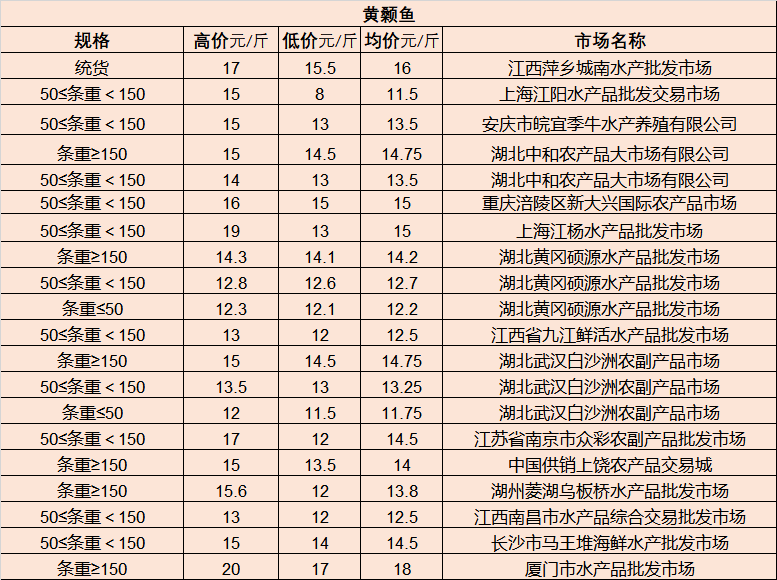 連云港人才市場(chǎng)最新招聘奇遇日，友情新篇章的溫暖邂逅