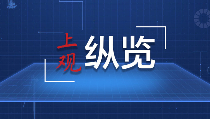 澳門精準(zhǔn)資料免費(fèi)共享，安全解讀技巧_模擬版QXA106.56