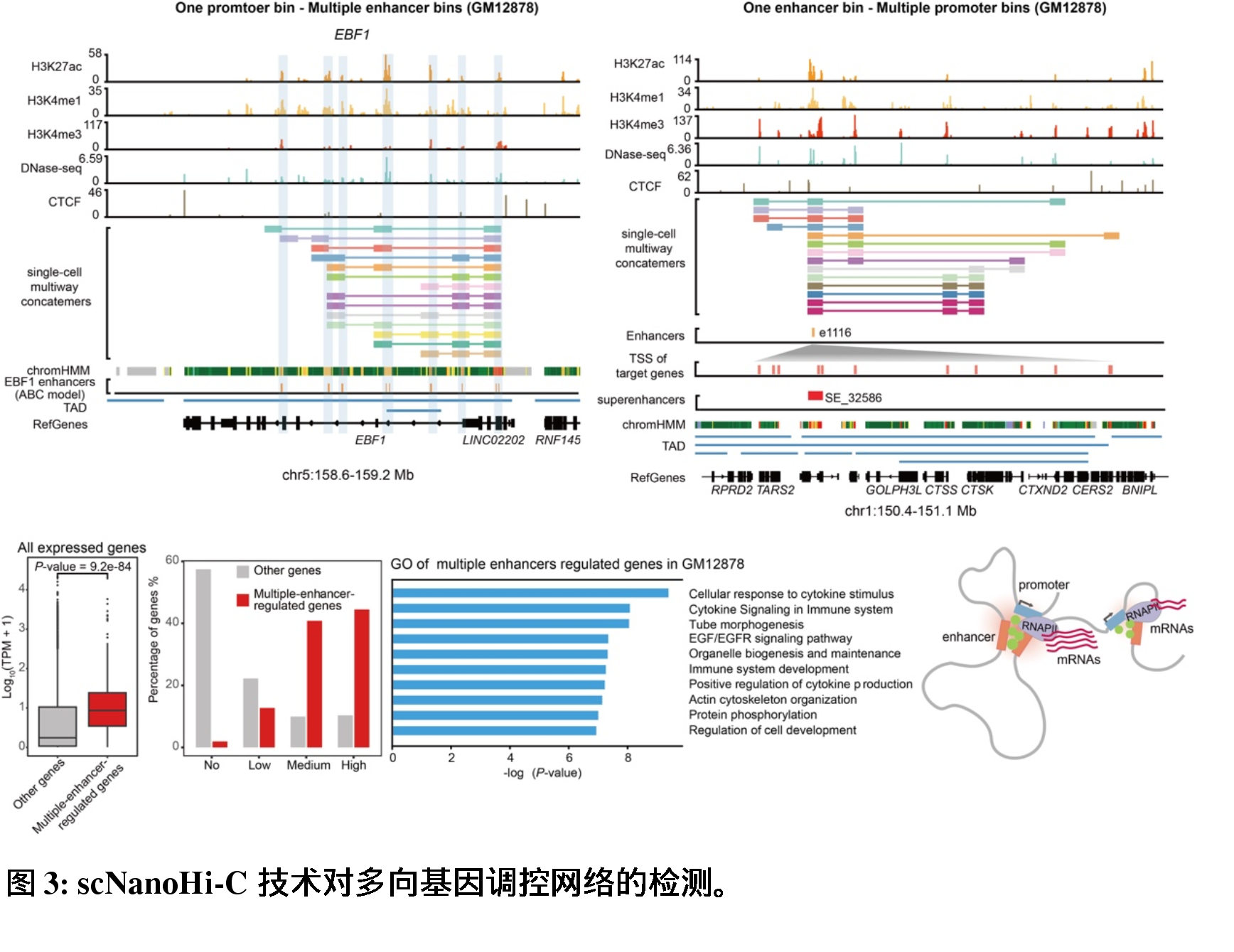 澳門彩資料，YLP62.848時尚版數(shù)據(jù)驅(qū)動設(shè)計(jì)法