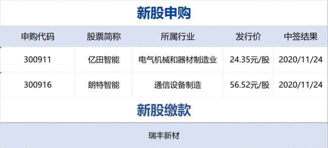 美國(guó)歷史上11月16日競(jìng)選票深度解析與最新進(jìn)展報(bào)告