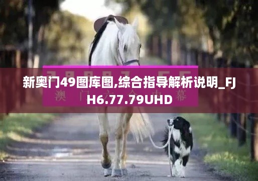 新奧門49圖庫圖,綜合指導(dǎo)解析說明_FJH6.77.79UHD