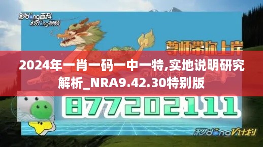 2024年一肖一碼一中一特,實地說明研究解析_NRA9.42.30特別版