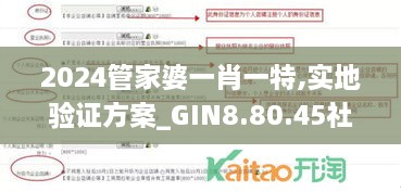 2024管家婆一肖一特,實地驗證方案_GIN8.80.45社交版