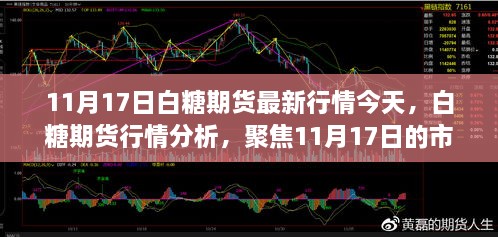 白糖期貨行情分析，聚焦市場動態(tài)與未來展望（最新行情報道，日期，11月17日）