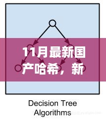 新哈希算法下的暖心日常，友情、家庭與愛的紐帶（11月最新國產(chǎn)哈希分享）