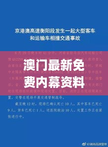 澳門最新免費(fèi)內(nèi)幕資料，11月19日深度解析與解答方案_SVP8.12.34標(biāo)準(zhǔn)版