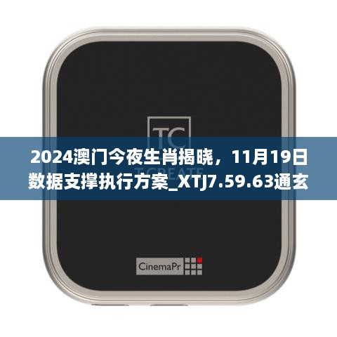 2024澳門今夜生肖揭曉，11月19日數(shù)據(jù)支撐執(zhí)行方案_XTJ7.59.63通玄境