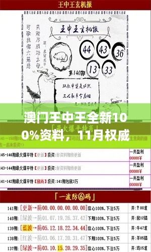 澳門王中王全新100%資料，11月權(quán)威解析現(xiàn)象_PTP5.72.33互聯(lián)網(wǎng)版本