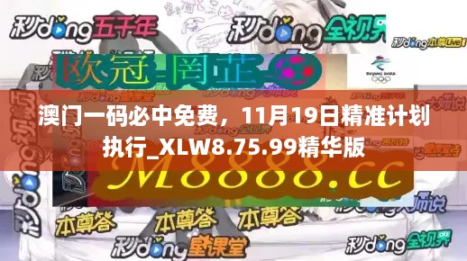 澳門一碼必中免費，11月19日精準(zhǔn)計劃執(zhí)行_XLW8.75.99精華版