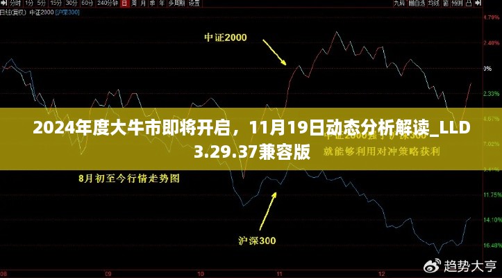 2024年度大牛市即將開啟，11月19日動(dòng)態(tài)分析解讀_LLD3.29.37兼容版