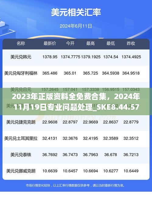 2023年正版資料全免費(fèi)合集，2024年11月19日專(zhuān)業(yè)問(wèn)題處理_SKE8.44.57定制版