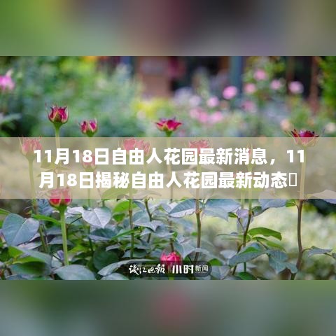 揭秘自由人花園最新動態(tài)，最新消息一覽（11月18日）