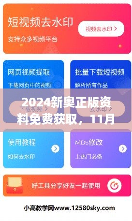 2024新奧正版資料免費獲取，11月19日全面評估解答及步驟解析_WUF1.60.91計算能力版