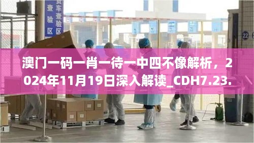 澳門一碼一肖一待一中四不像解析，2024年11月19日深入解讀_CDH7.23.95連續(xù)版