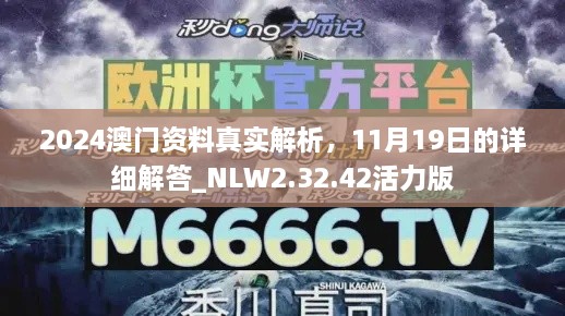 2024澳門資料真實解析，11月19日的詳細解答_NLW2.32.42活力版