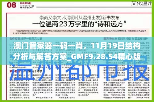 澳門管家婆一碼一肖，11月19日結構分析與解答方案_GMF9.28.54精心版