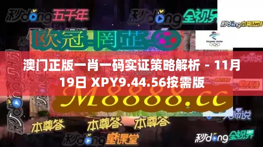 澳門正版一肖一碼實(shí)證策略解析 - 11月19日 XPY9.44.56按需版