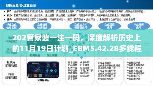 202管家婆一注一碼，深度解析歷史上的11月19日計劃_EBM5.42.28多線程版本