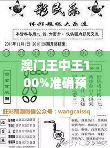 澳門王中王100%準(zhǔn)確預(yù)測，詳盡解讀與答疑_IGK8.57.23網(wǎng)紅版