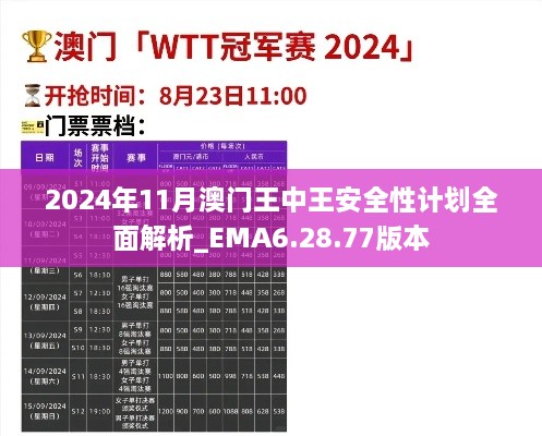 2024年11月澳門王中王安全性計(jì)劃全面解析_EMA6.28.77版本