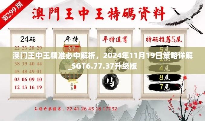 澳門王中王精準(zhǔn)必中解析，2024年11月19日策略詳解_SGT6.77.37升級版