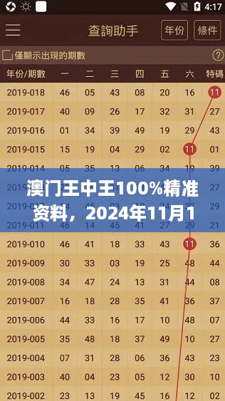 澳門王中王100%精準資料，2024年11月19日可視化管理方案_RNM1.66.77私密版