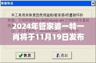 2024年管家婆一特一肖將于11月19日發(fā)布，便捷解答與解釋_LKT7.17.68專家版