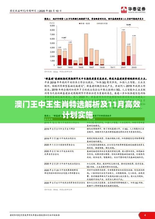 澳門(mén)王中王生肖特選解析及11月高效計(jì)劃實(shí)施