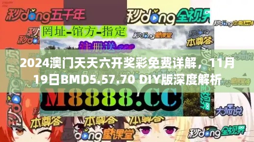 2024澳門天天六開獎彩免費詳解，11月19日BMD5.57.70 DIY版深度解析