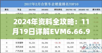 2024年資料全攻略：11月19日詳解EVM6.66.95味道版的步驟與解答