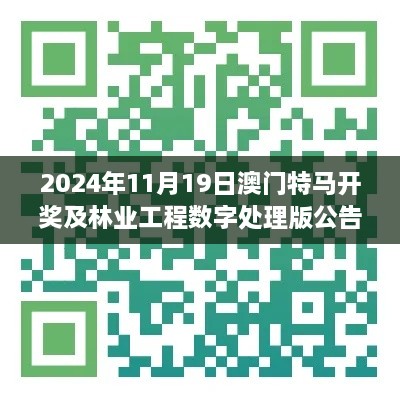 2024年11月 第518頁