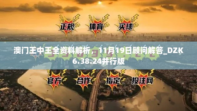 澳門王中王全資料解析，11月19日顧問解答_DZK6.38.24并行版