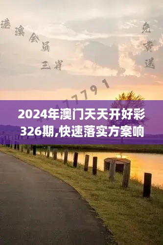 2024年11月 第512頁