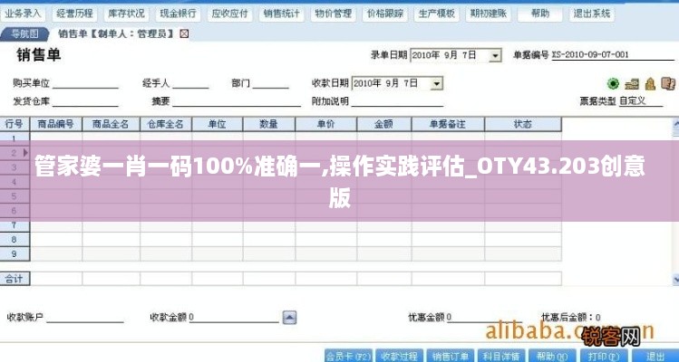 管家婆一肖一碼100%準確一,操作實踐評估_OTY43.203創(chuàng)意版